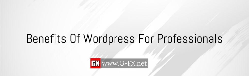 Benefits_Of_Wordpress_For_Professionals