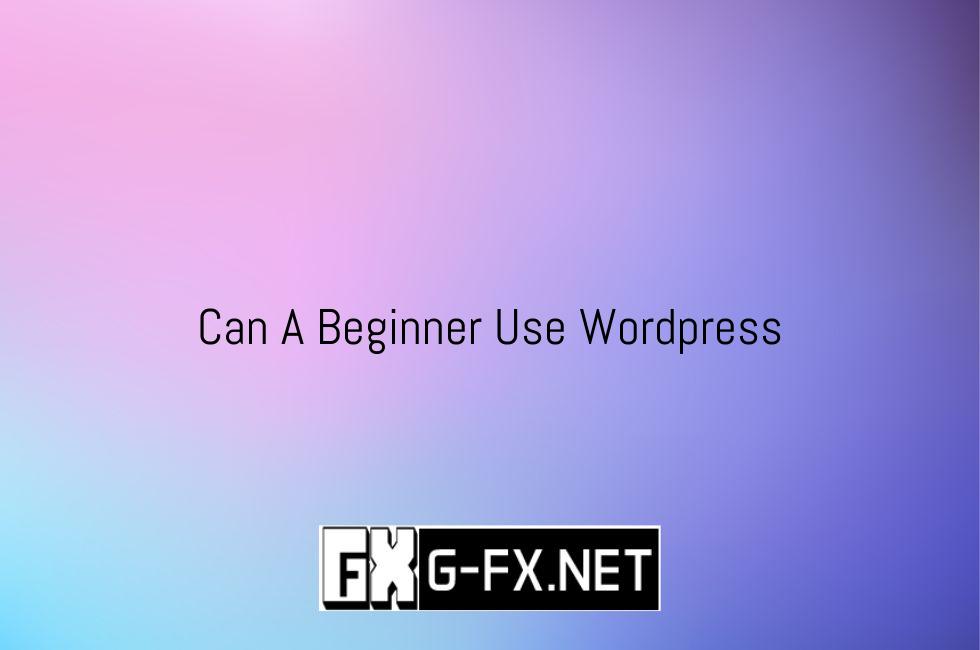 Can_A_Beginner_Use_Wordpress