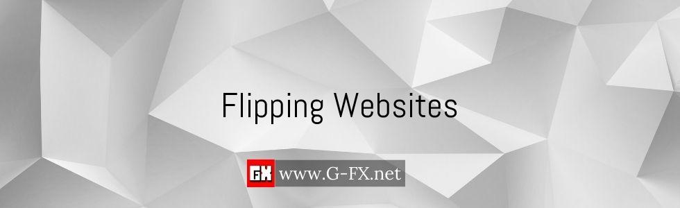 Flipping_Websites