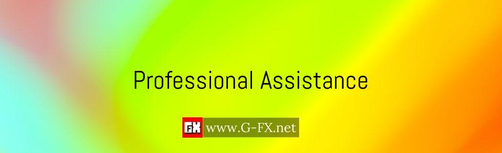 Professional_Assistance