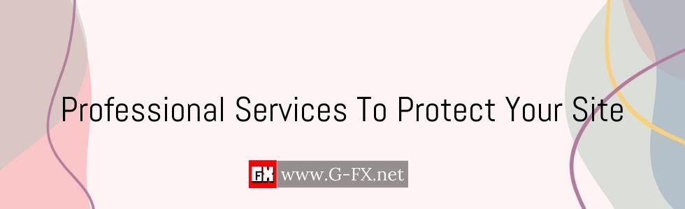 Professional_Services_To_Protect_Your_Site